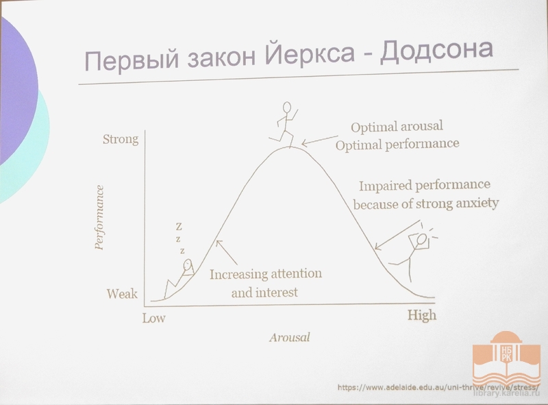 Лекторий «Экология человека»