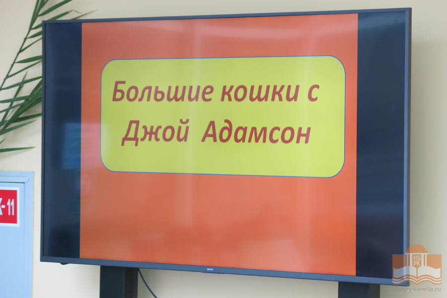 Творческая программа «Большие кошки с Джой Адамсон»