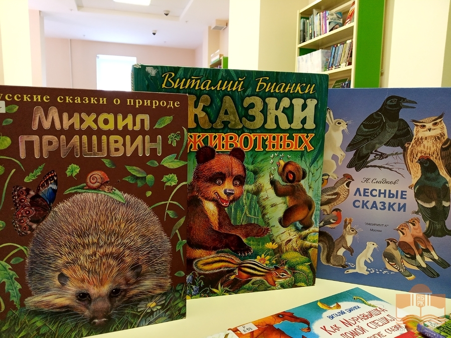 «Лето с Национальной библиотекой Карелии»: игровая программа «В лес по загадки» (6+)