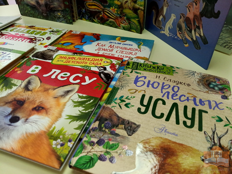«Лето с Национальной библиотекой Карелии»: игровая программа «В лес по загадки» (6+)