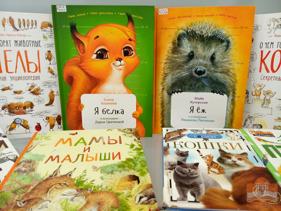 «Дикие, домашние – все такие важные»: тематическая книжная выставка в Центре детского чтения