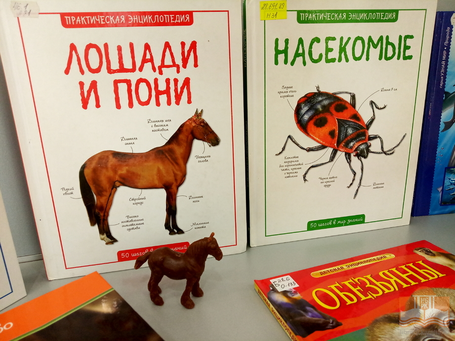 «Дикие, домашние – все такие важные»: тематическая книжная выставка в Центре детского чтения