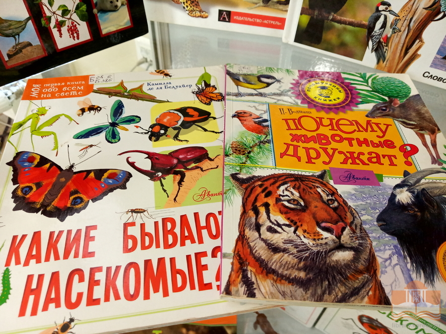 «Дикие, домашние – все такие важные»: тематическая книжная выставка в Центре детского чтения