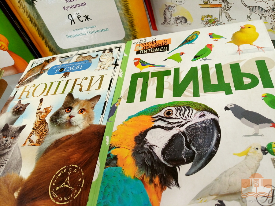 «Дикие, домашние – все такие важные»: тематическая книжная выставка в Центре детского чтения