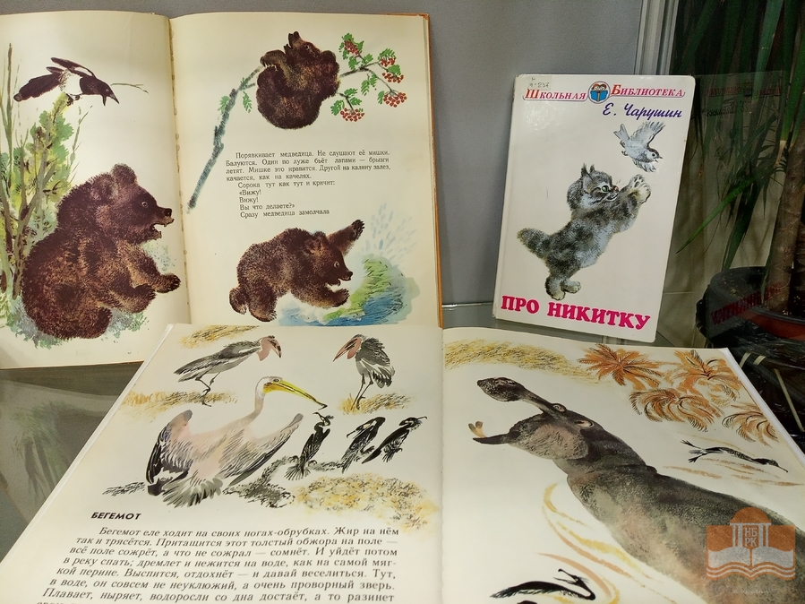 «Зоосад Евгения Чарушина»: книжная выставка в Центре детского чтения
