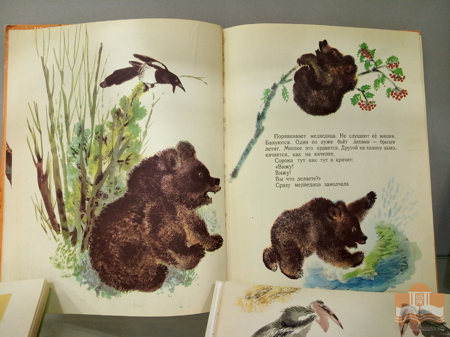 «Зоосад Евгения Чарушина»: книжная выставка в Центре детского чтения