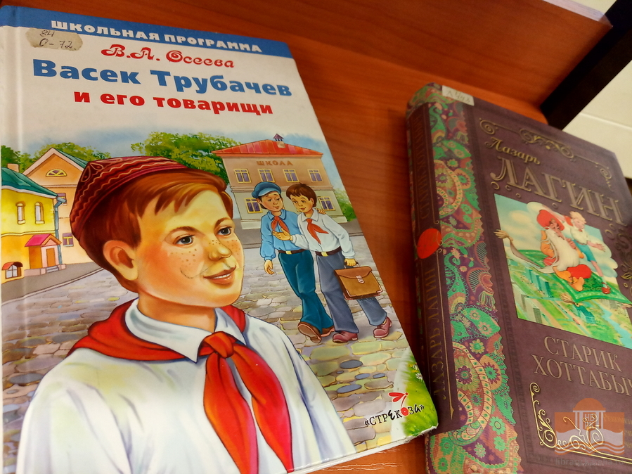 Книги о скаутах из фондов Национальной библиотеки Карелии