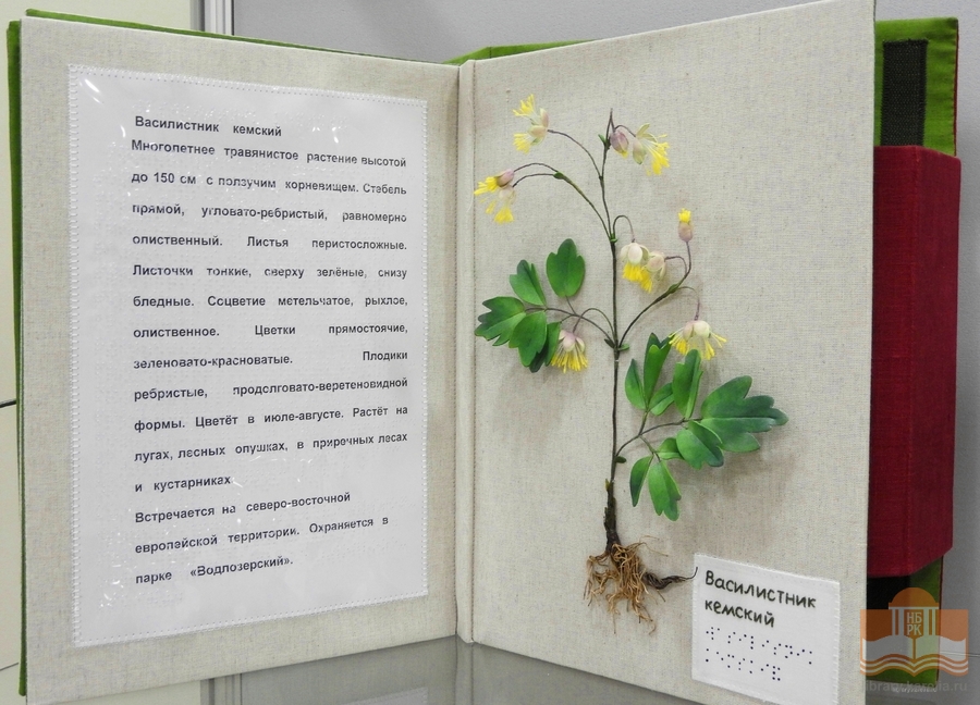Тактильные издания из фондов Национальной библиотеки Карелии