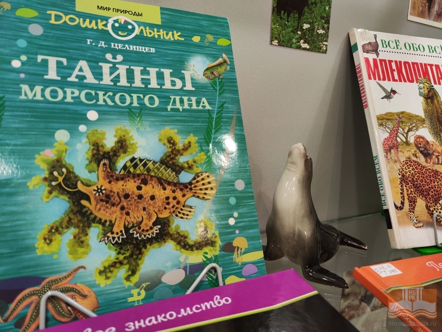«Дикие и домашние – все такие важные»: книжная выставка в Центре детского чтения
