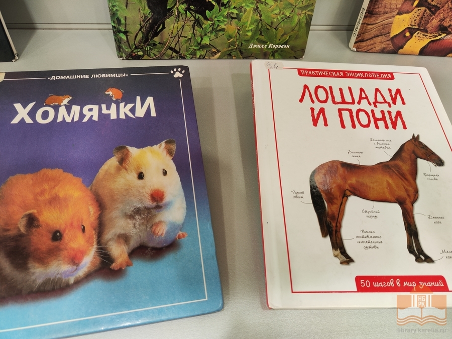 «Дикие и домашние – все такие важные»: книжная выставка в Центре детского чтения