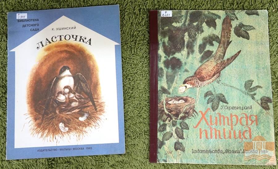 На творческой программе «Птицы на книжных страницах»