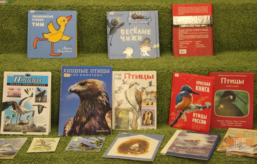 Познавательная программой «Птицы на книжных страницах»