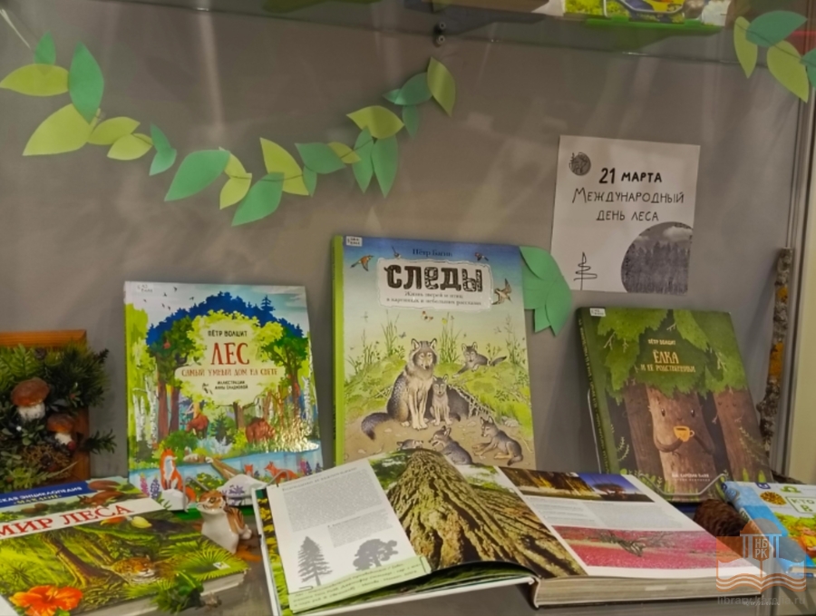 Книжная выставка «Тайны и загадки карельского леса»