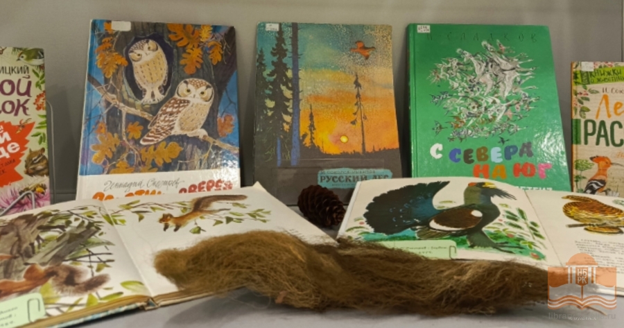 Книжная выставка «Тайны и загадки карельского леса»