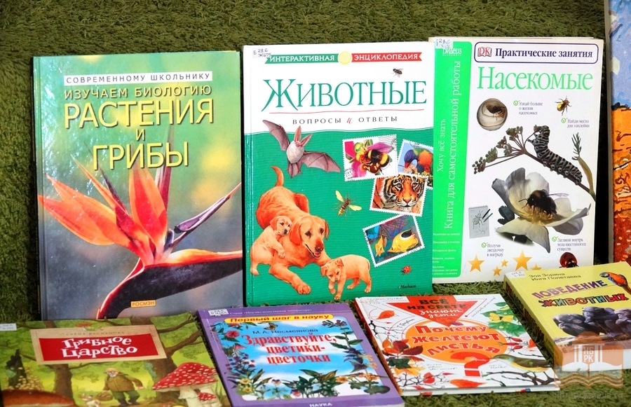 Книги из фонда Национальной библиотеки Карелии, представленные на мероприятии