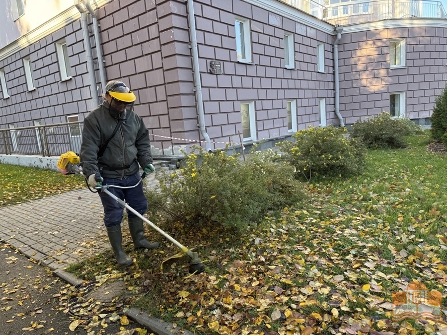 На субботнике у Национальной библиотеки Карелии