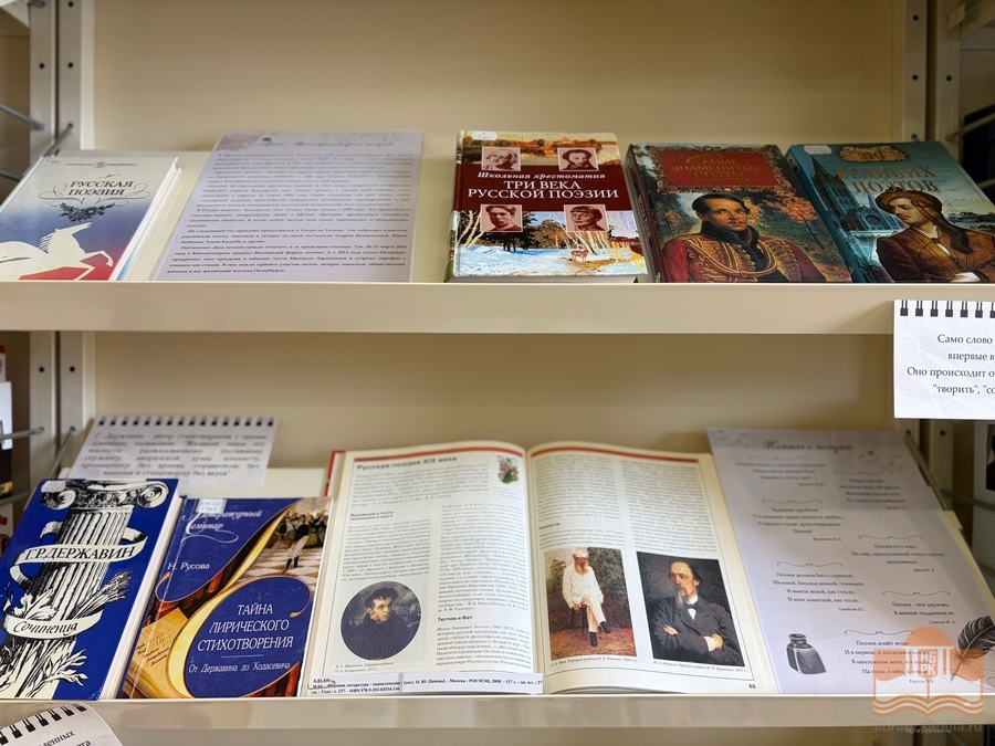 Книги, представленные на выставке «Когда строку рождает чувство»