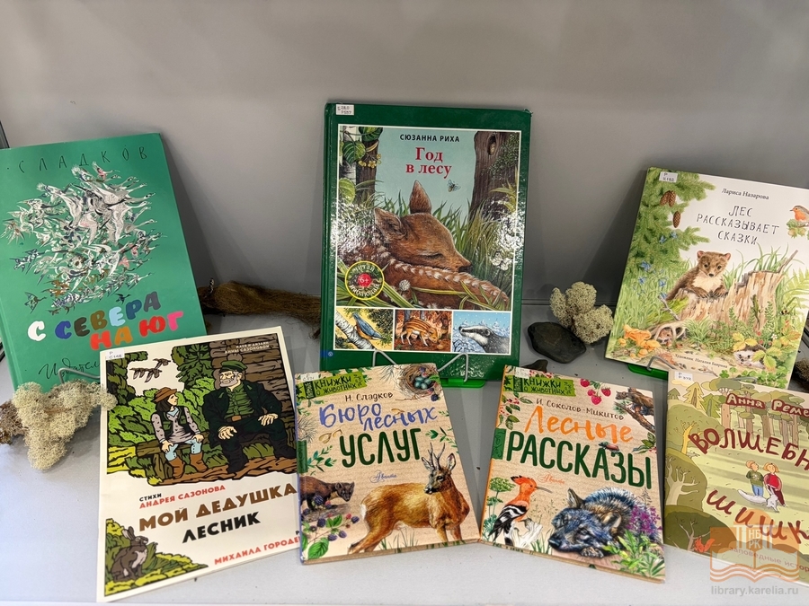 Книжная выставка «Тайны и загадки карельского леса»