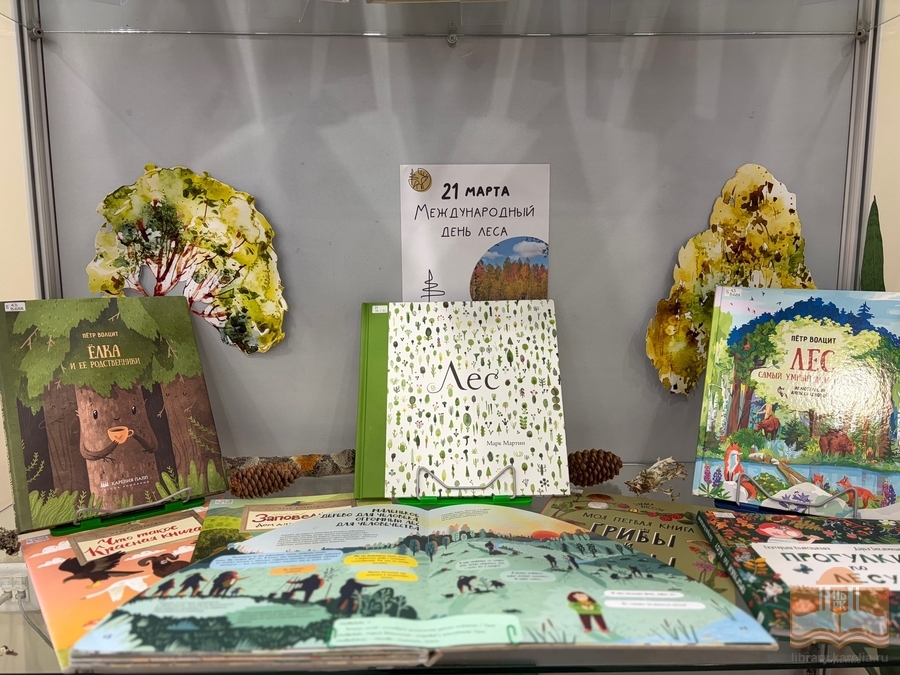 Книжная выставка «Тайны и загадки карельского леса»